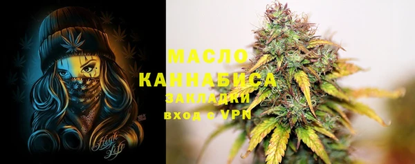 молекула духа Бородино