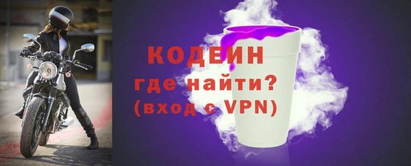 молекула духа Бородино