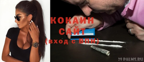 молекула духа Бородино