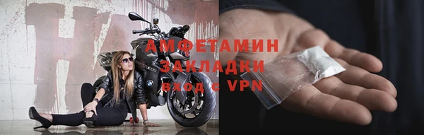 молекула духа Бородино