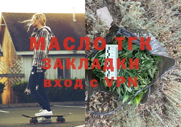 молекула духа Бородино