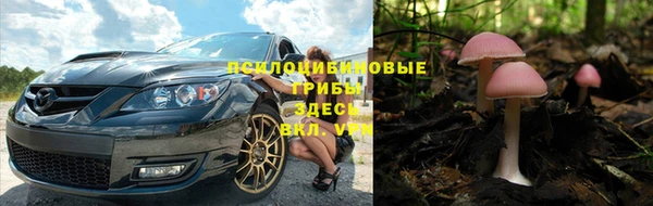 молекула духа Бородино